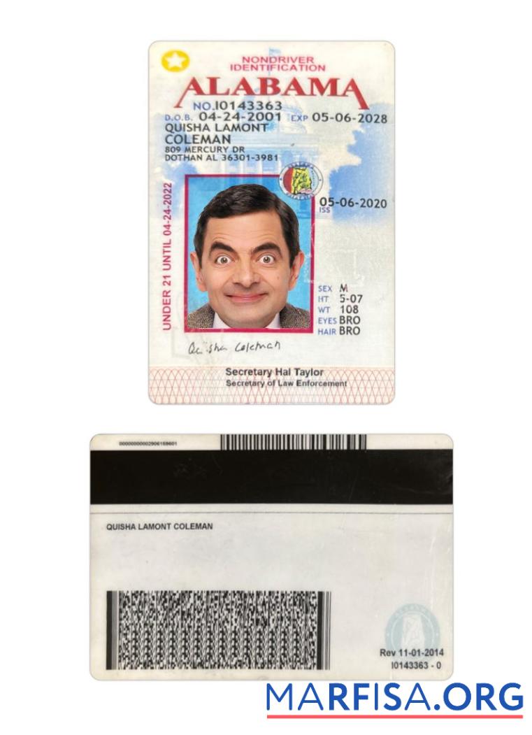 Realistic USA Alabama Under 21 ID Card example