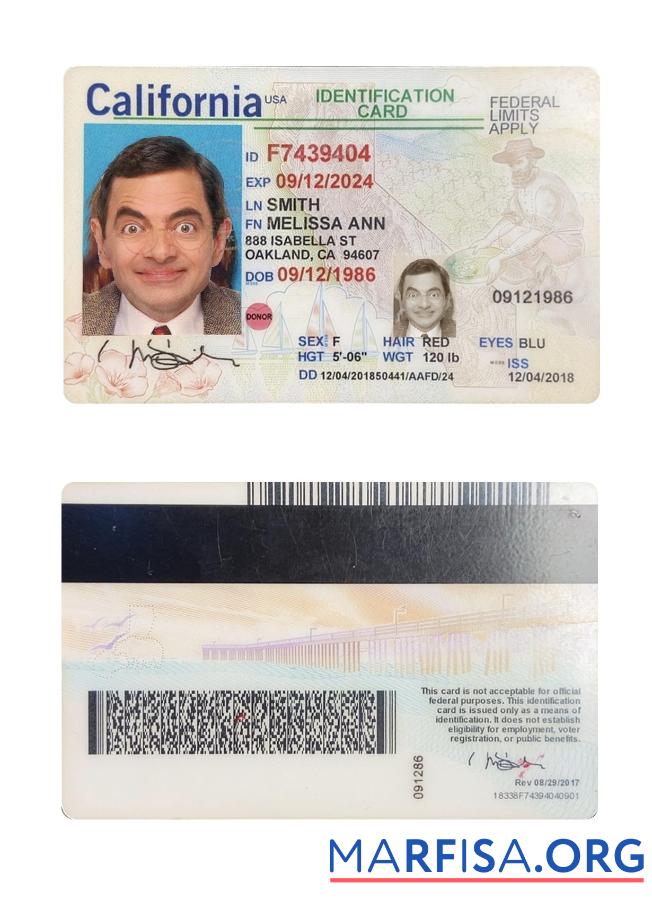 Printable USA California ID Card real example