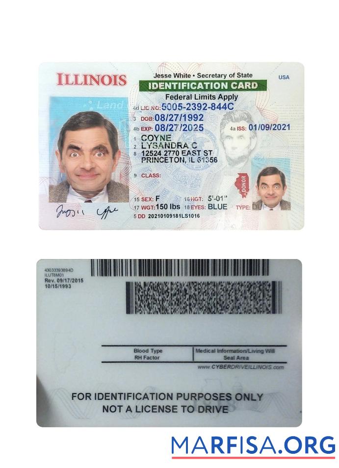 Printable USA Illinois ID Card real example