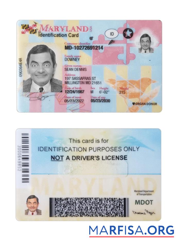Printable USA Maryland ID Card sample