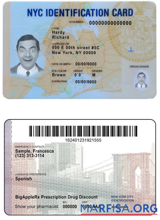 Downloadable USA New York ID sample