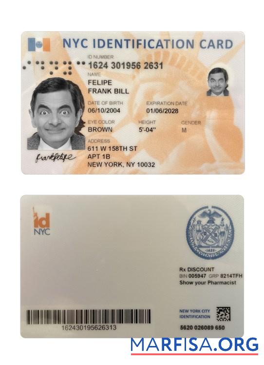 Realistic USA New York Identification Card download for verification