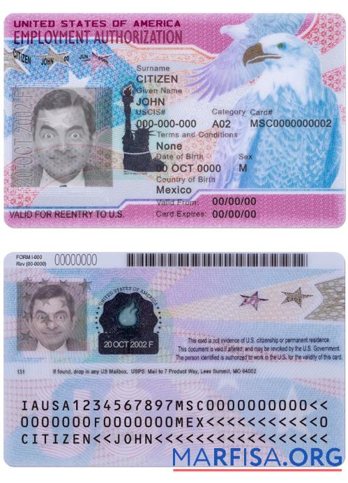 Printable USA Employment Authorization download for verification